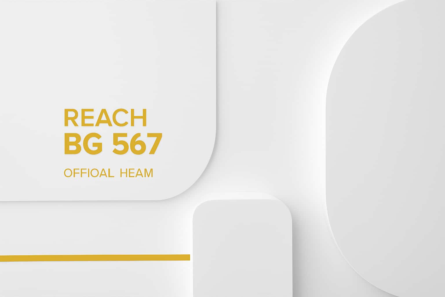Reach BG 567 Official Team Interface